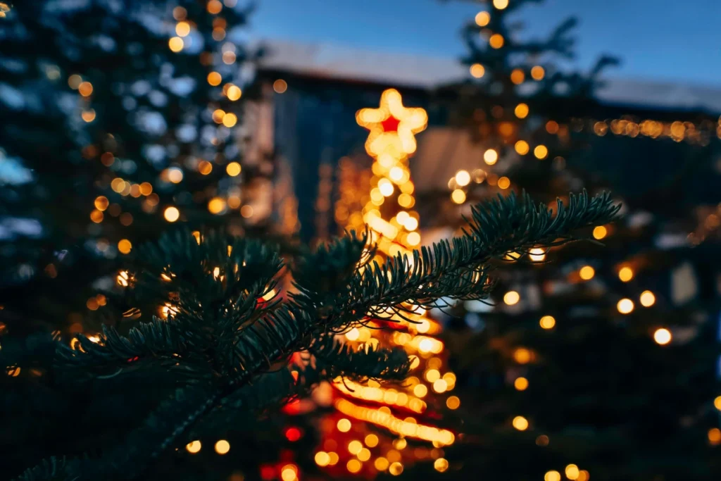 Christmas night tour