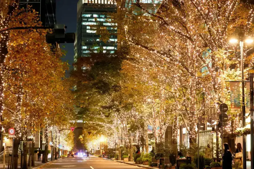 Illumination Tree Lights at The Morton Arboretum