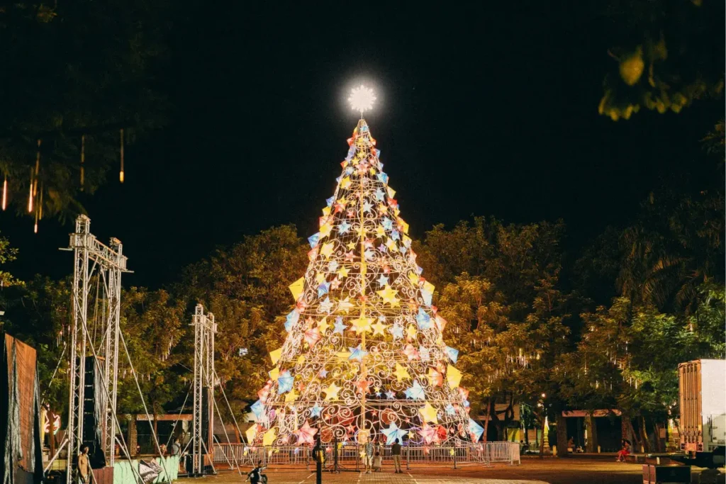 Millennium Park Christmas Tree
